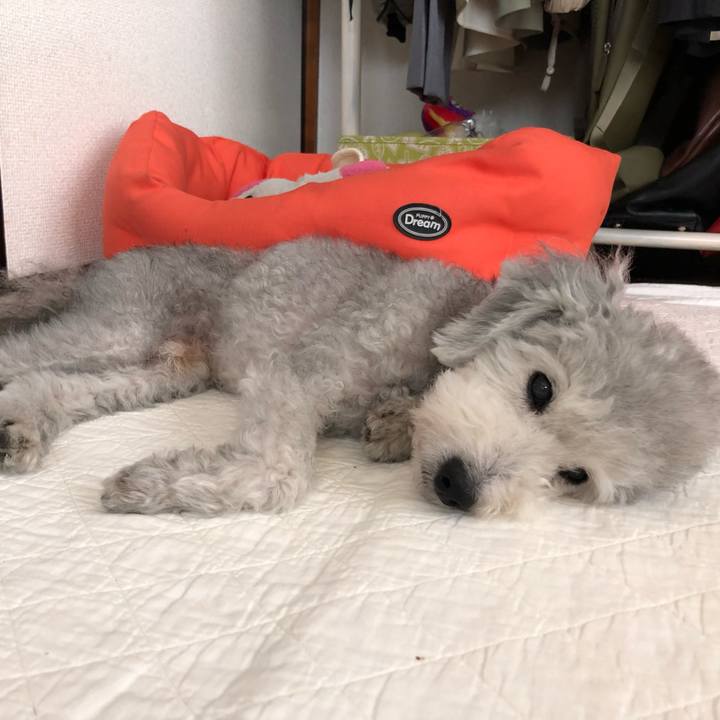 16819fc6 5638 4d92 ae4a 4347e6763e95 1567745245868