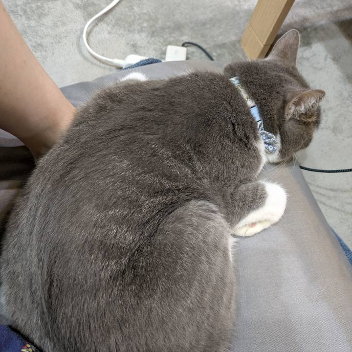 1681a147 a5b1 461c b90f a284903f5893 1751282171694