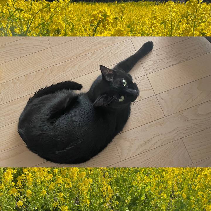 16820b5f de30 43c5 bc5b d9d2d072f101 1677843205648