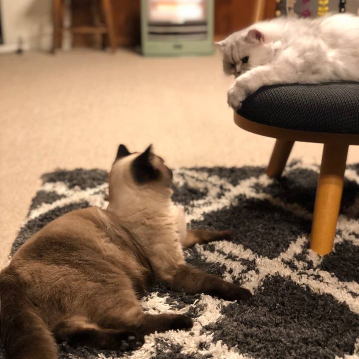 16820f62 b36e 4090 bc16 e6ee2b338507 1607820045802