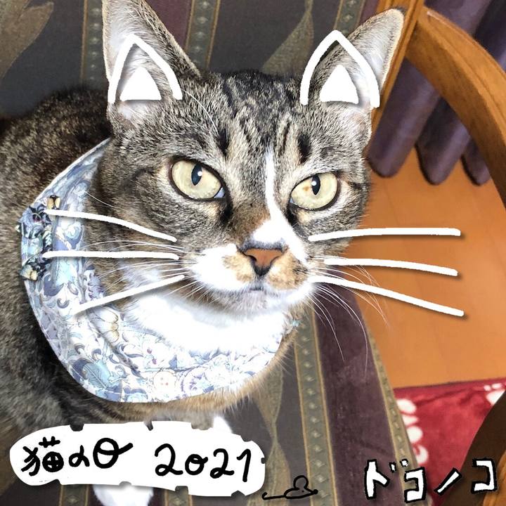 168235dd fe95 46bc 8315 f7255f2f7207 1613995332099