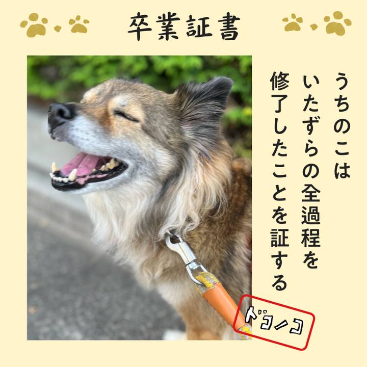 168248b6 6342 4f21 8075 54fc9cf348bb 1771849332009