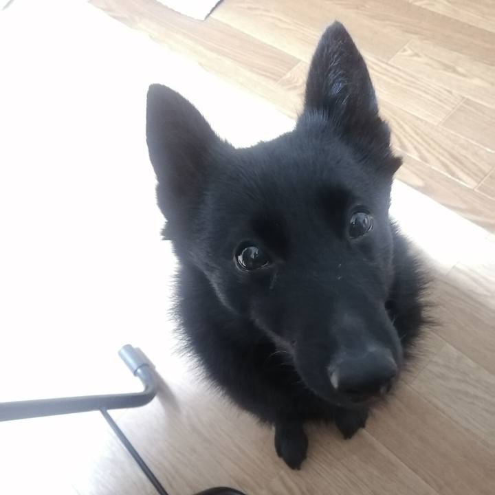 16824f80 3fb2 4896 969b 57d206238fbf 1645222353444