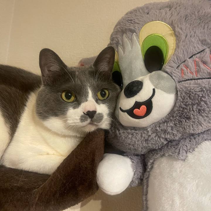 16825e6f 704e 43b5 8227 457a89d2540e 1745403251914