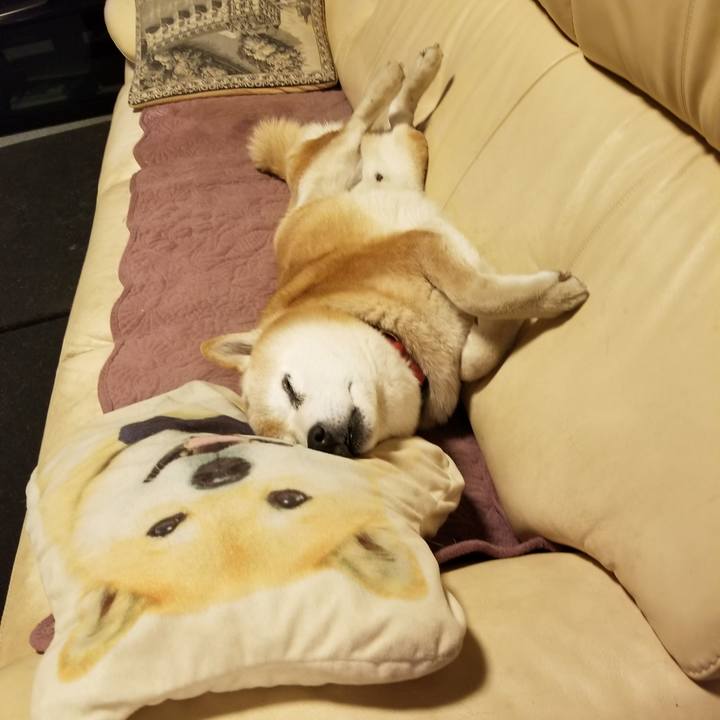 16826fa5 cbd4 44cc a7f5 034a28d8d807 1743501866904