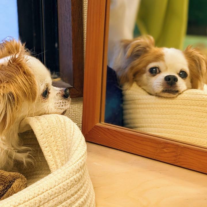 16828390 a968 40f7 8eae 1de173078deb 1683950436417