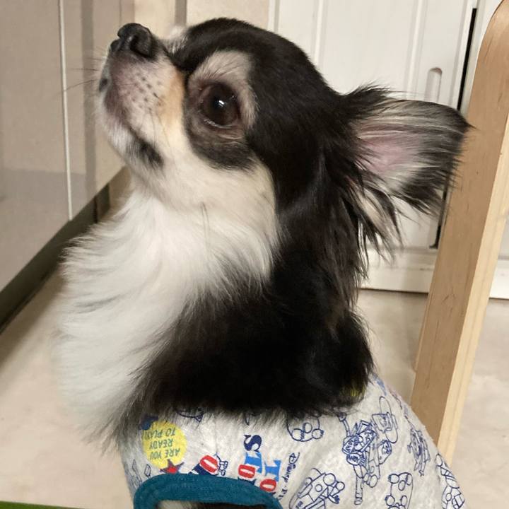 168286df b197 4bd0 b56a 2eb04f33f010 1651758576881