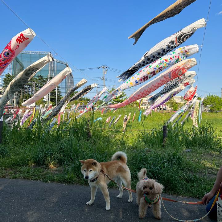 16828a12 be95 4180 b736 79c3bac16af8 1651576186944