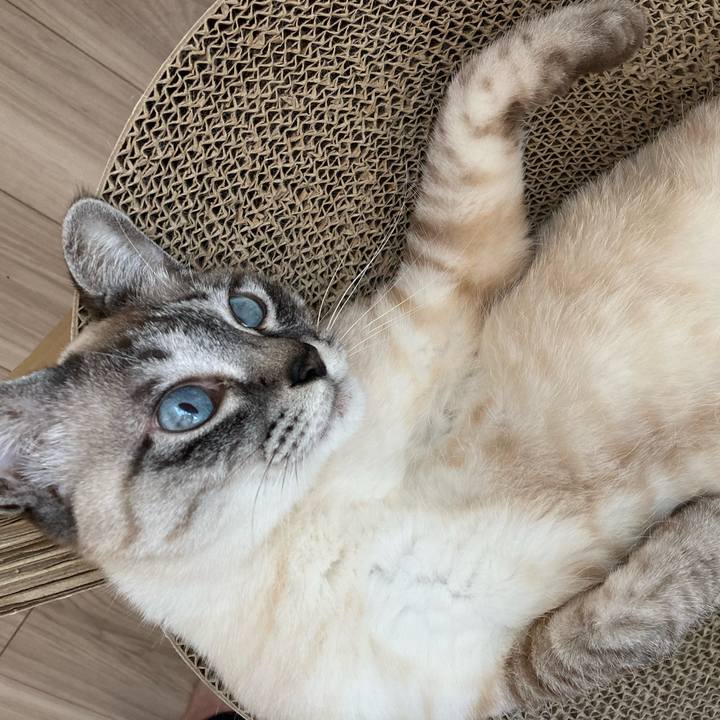 1682b13f f9f5 46d7 87e9 f96378b942c6 1743036435777