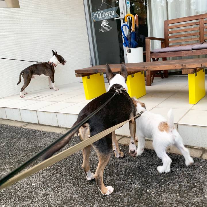 1682ee69 539e 4b76 8df9 6817c8f0e6b4 1567165127279