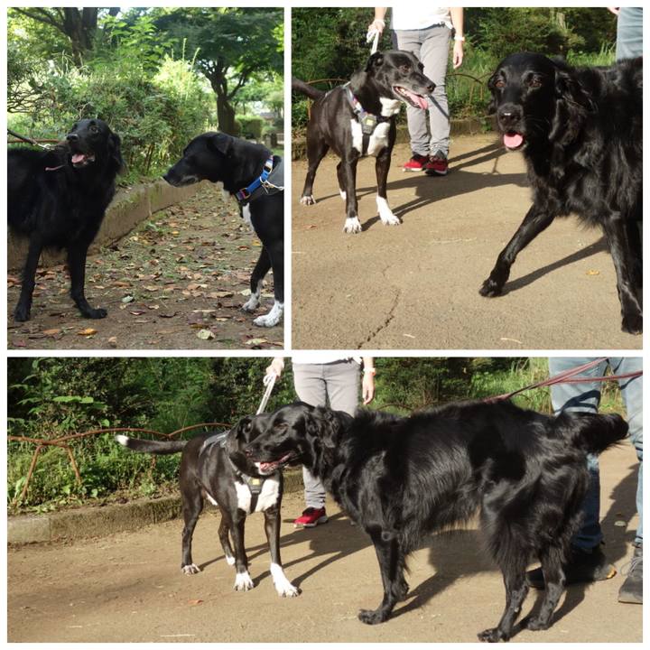 168333bf aefe 4435 95b7 7b6e8f17404e 1664587108804