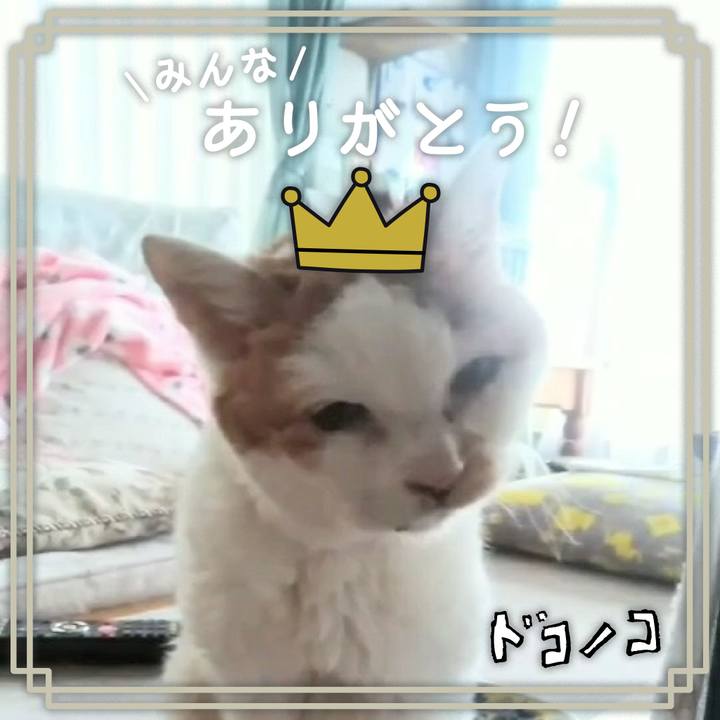 16834761 6dd9 4e8e 97ba fb409be53f57 1622897484465