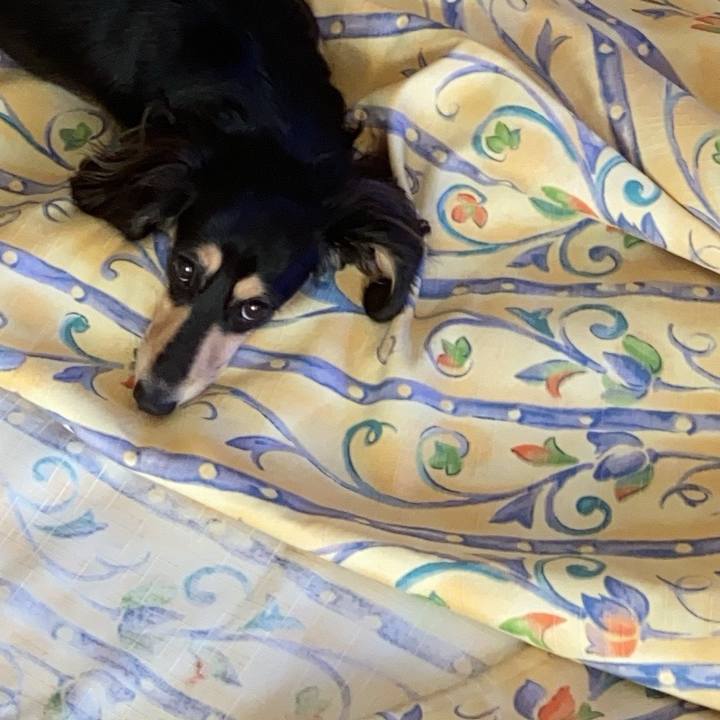 16834885 67ca 4495 85d8 54efda351bf9 1702869670851