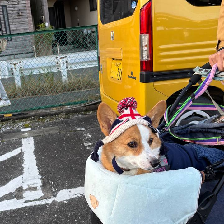 168381d9 0792 4ba9 87ae 9ba391280744 1764457758325