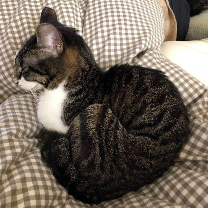 1683c559 71a4 4bdb a650 22479dc6fe5d 1519885317330