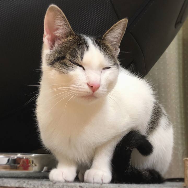 1683e086 f98f 4ede a0da c0ea6ea69008 1584276451587