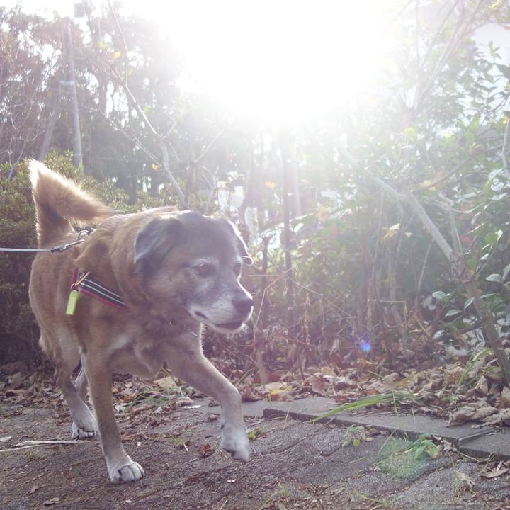 1683f564 95c5 4bf9 8ccd 45ea6c8a5bf9 1654473057250