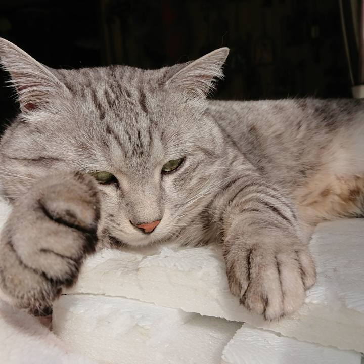 16841047 2046 4804 9c92 40569bf616db 1519265415167