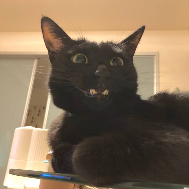 16844aa2 ce41 409e b189 8c86dfc65ed5 1523794089148