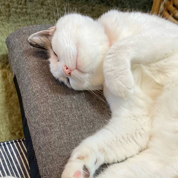 16846e03 3cea 4de3 a1d3 8663dfe9caed 1656637745764