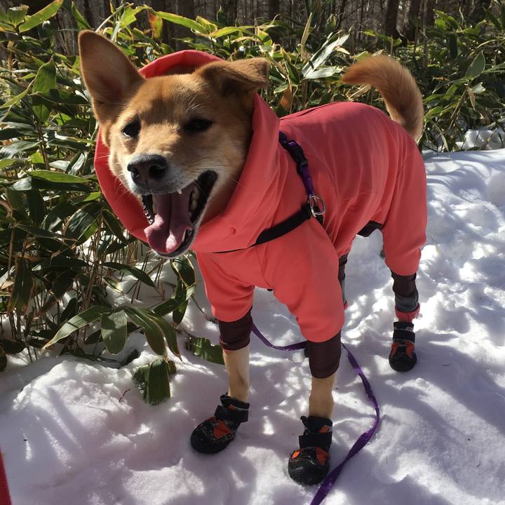 1684a344 8643 4397 b6d5 c07d87cf1dbf 1550050628962