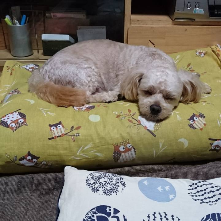 1684c7f1 2900 4758 8f6d cc8eced9b41e 1595559749393