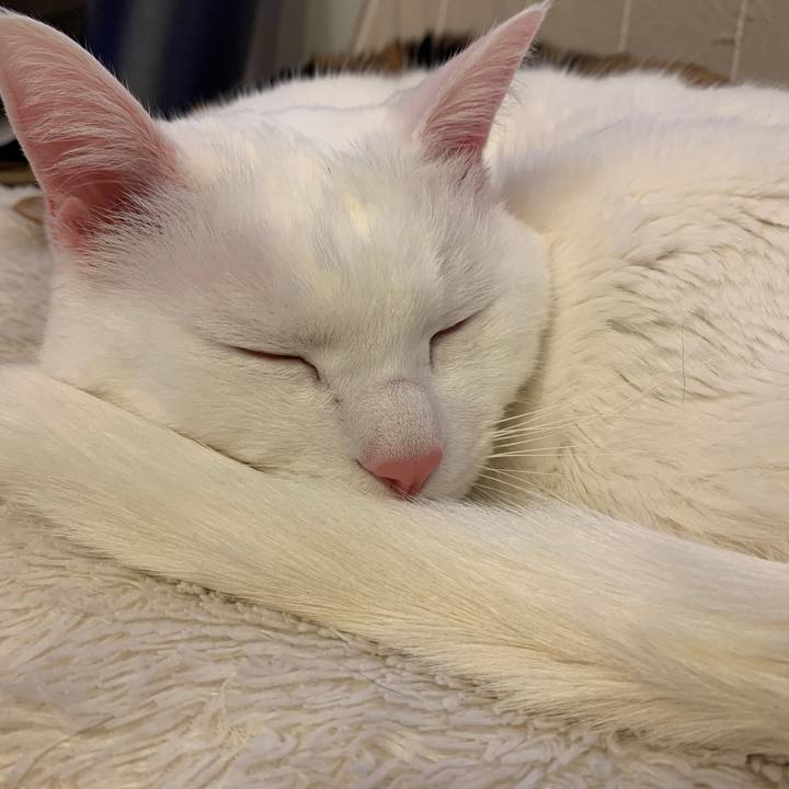 1684d9a3 3c37 456b b429 6421a9f72780 1641368121701