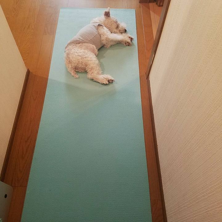 1684e6d3 8194 450a 9e41 ba628f545508 1599877128332