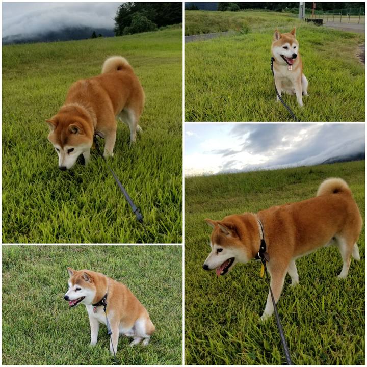 1684f399 5e16 49e6 950c 226fa915a103 1598863584689