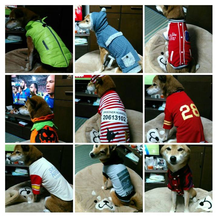 16850381 7c75 4f00 a6f5 1f1bc11c1820 1571558222234