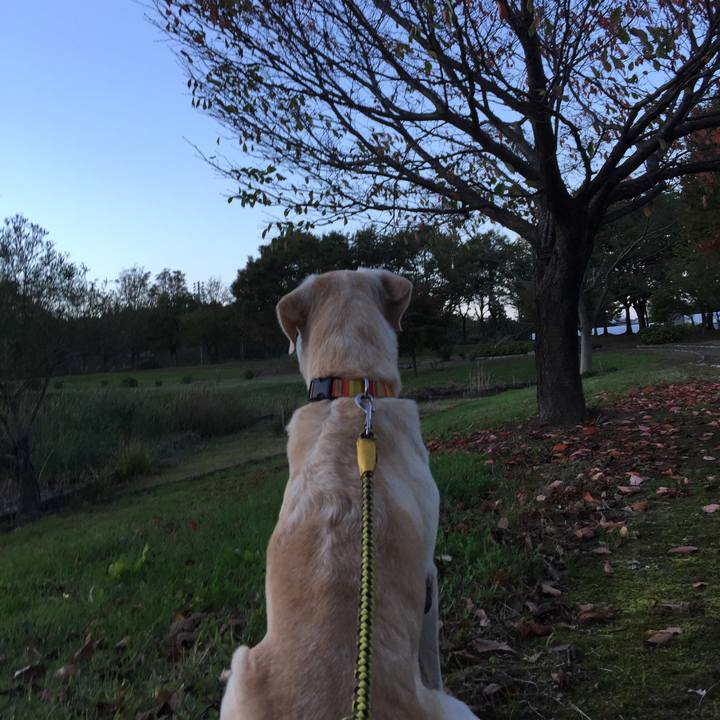 16850a13 9fe9 4baa 9da8 434898cfd007 1561028565637