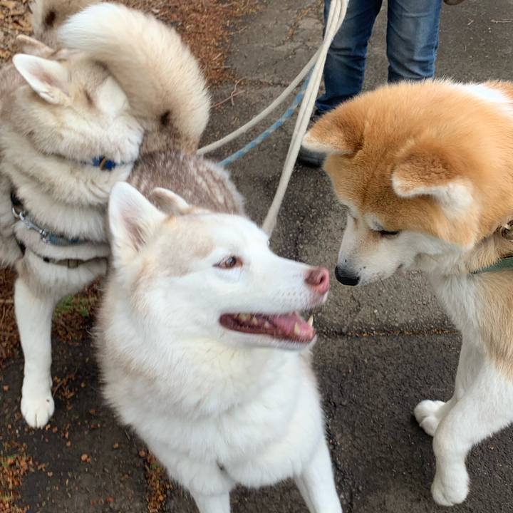 16850e81 9027 4407 82f7 5cdd8c66479b 1711282157338