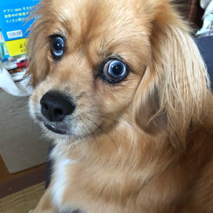 16857c07 057f 443c 8c46 dff2ad88ad12 1525903012228