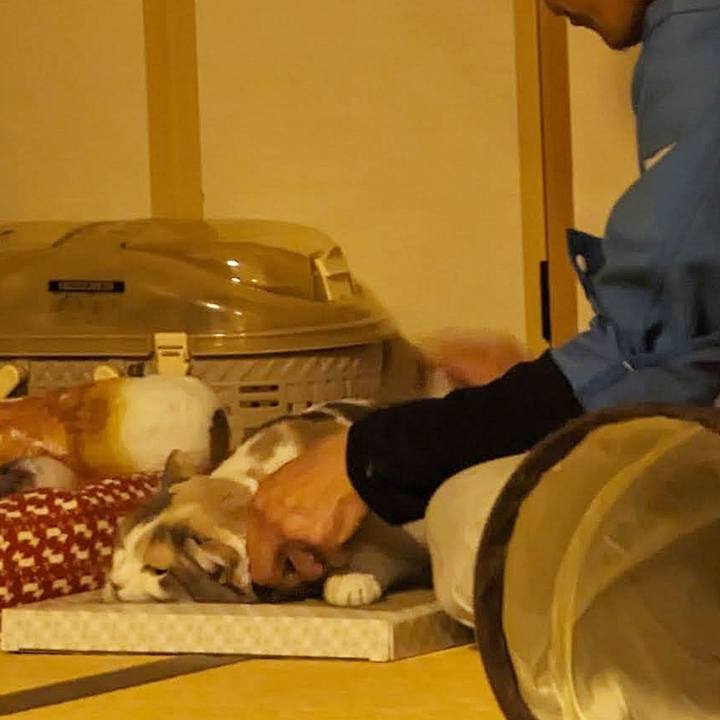 16857f27 8749 4d8d 9607 924b29d6f80b 1712465063644