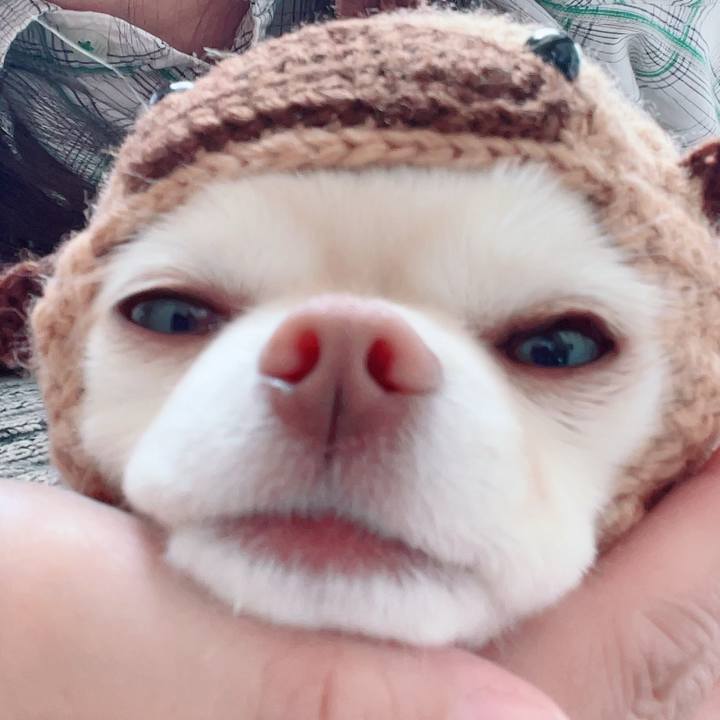 1685b64c e5d9 4232 8232 763d0fadd1da 1711873220503