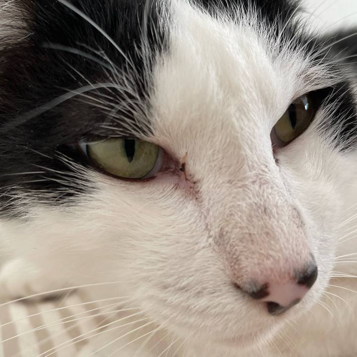 168620d0 9b21 437b a15b b51b1211bcc8 1659165190251