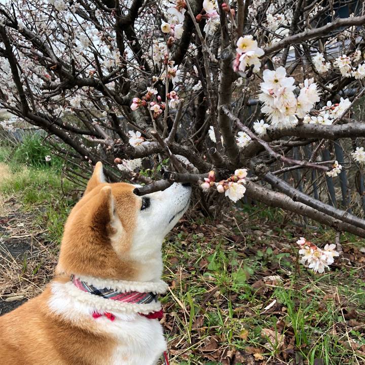 16864b02 9755 4bdc 8c59 0bba8af18026 1582938668222