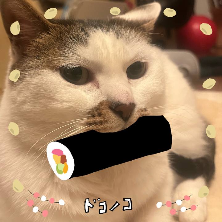 16864b23 b6ec 4c54 88c7 d3da986c0cb7 1741438945031