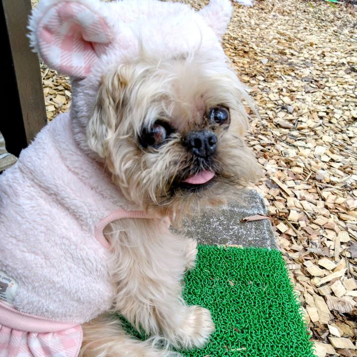 168657fe c5f2 41a9 a602 1b95e78bf0f0 1708305665481