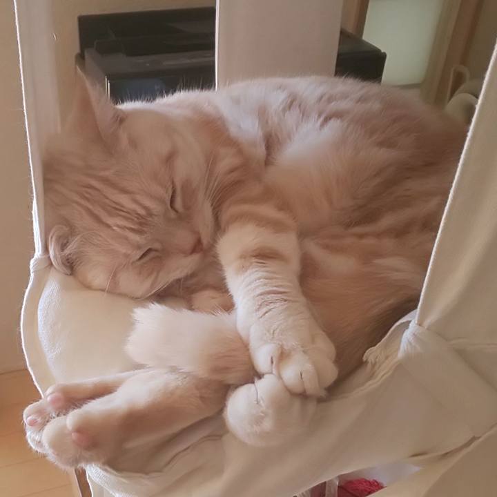 16867ed2 dd2f 45e3 8151 6c366cc87f9b 1574035260196