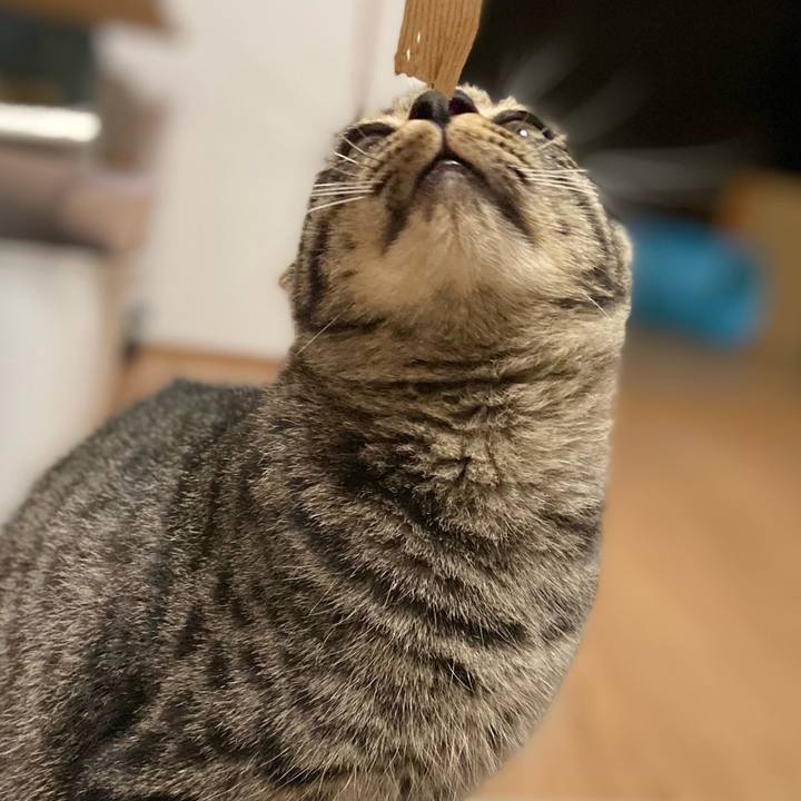 1686aebf 2ee4 44f2 b27b d041ef8b303b 1619694452933