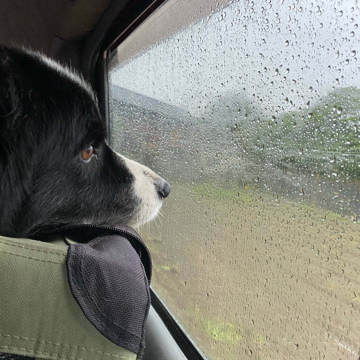 1686f76b 76bb 4879 9736 bb1d18d32300 1621461884141