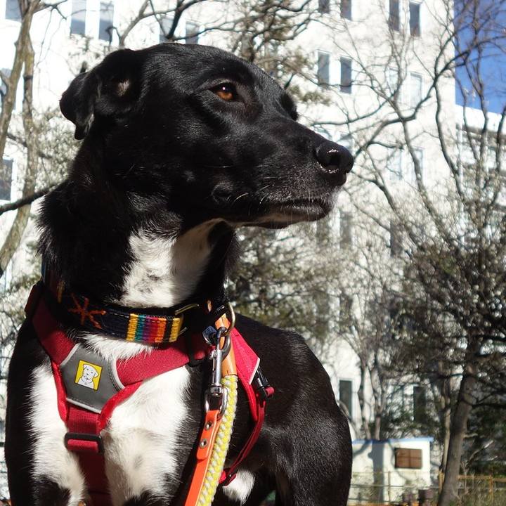 168734ca 0575 4721 893a e7c7c4930b1b 1582851356393