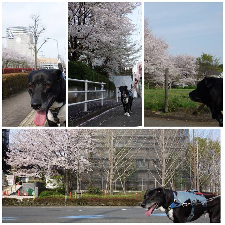 1687557f 7e81 409a 800d aa3aa46012d2 1712539609472