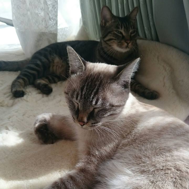 168759e2 49e1 4364 86bb c536bd452a4d 1509078582174