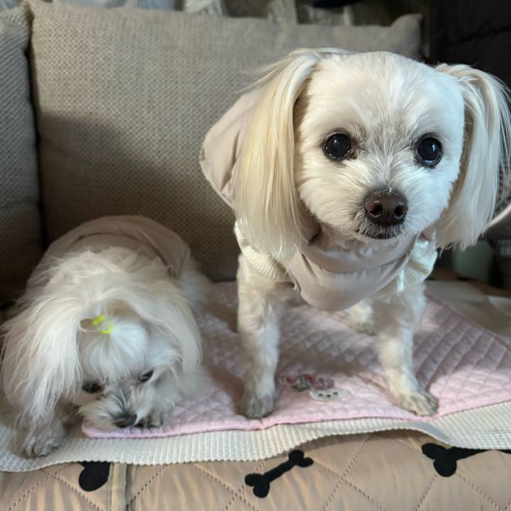 16876d11 aacc 45c5 bce1 c8d666c38d52 1768811902858