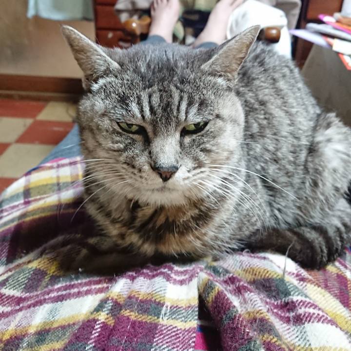 168772e6 3a3e 4e12 85fc 71721fca1860 1575029059644