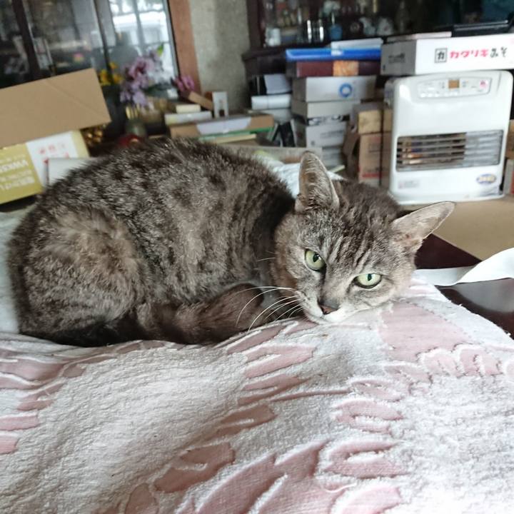 168776ce 7c14 4a32 aa1d a8c7c67edc15 1591826139180