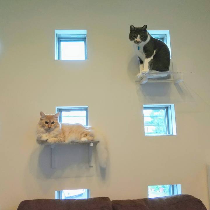 168793ce 640d 40ea 8ae6 3bfc0b584099 1627891304240