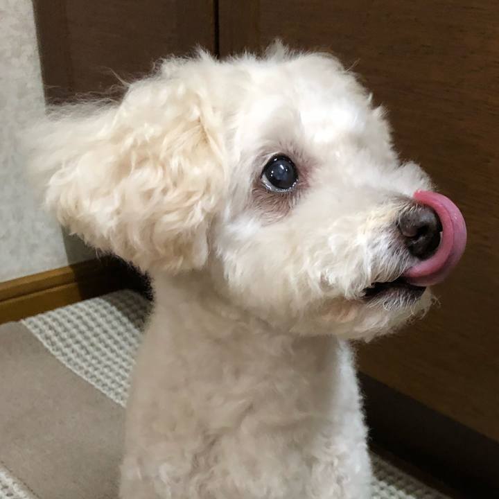 1687a086 712d 45be 86b5 362f69dca960 1533690645138